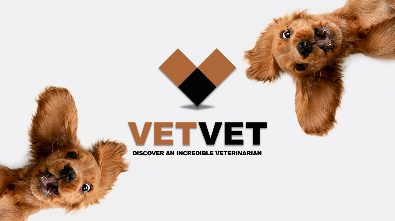 New online platform helps pet owners discover veterinarians