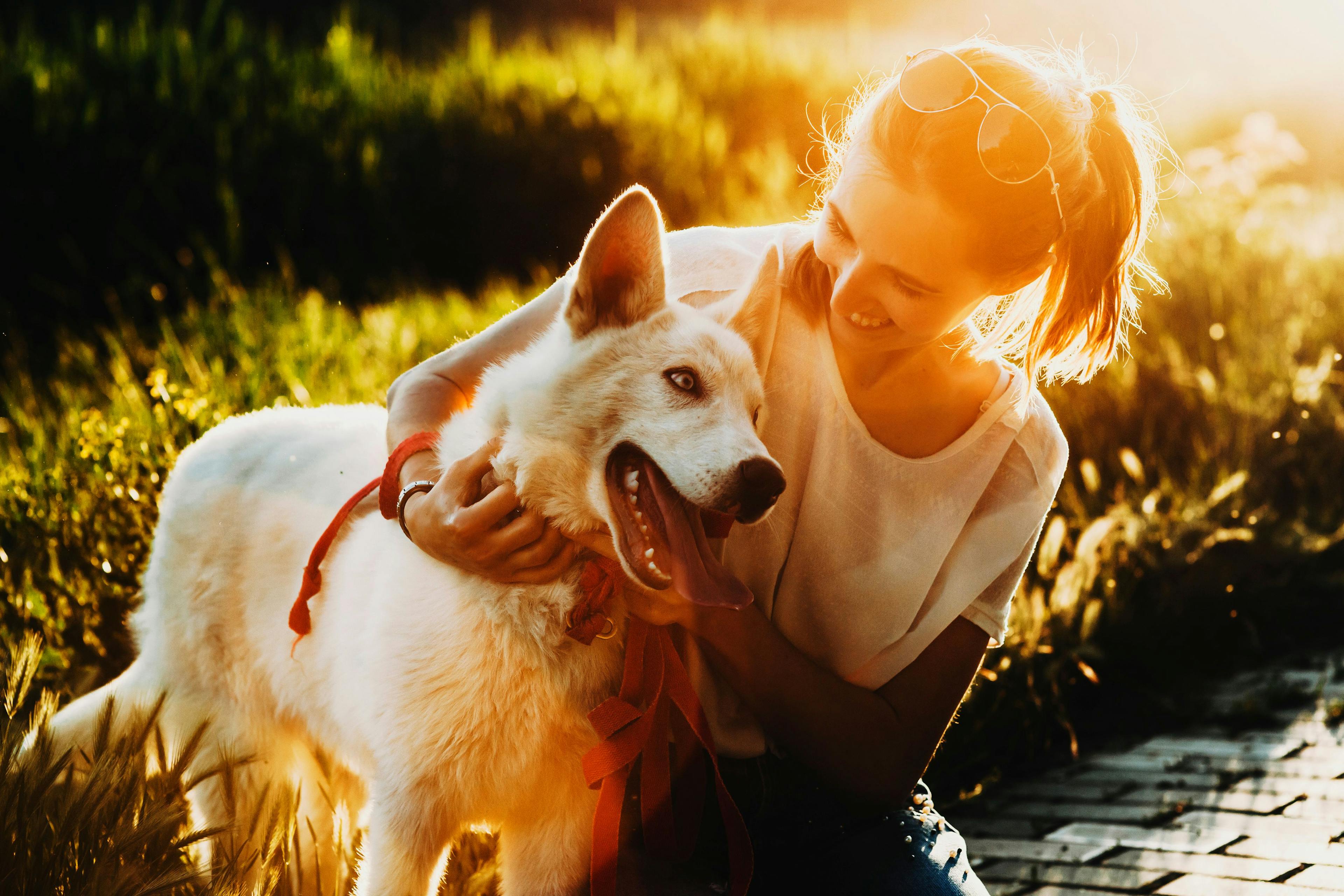 3 Must-reads for National Lost Pet Prevention Month