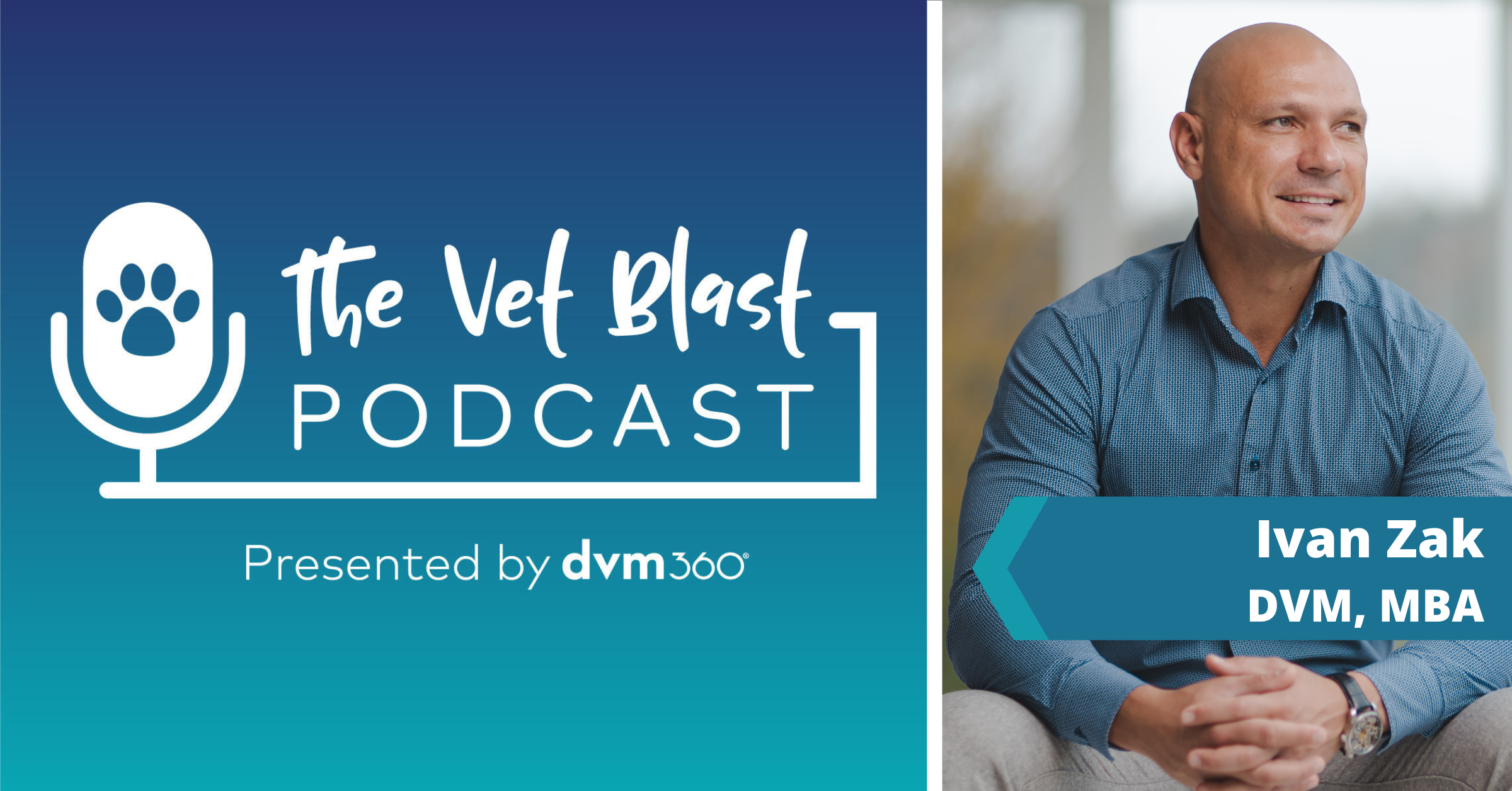 The Vet Blast Podcast veterinary burnout
