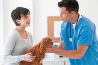 veterinary_doctor_client_dog_visit_95469026_20-793276-1384155981390.jpg