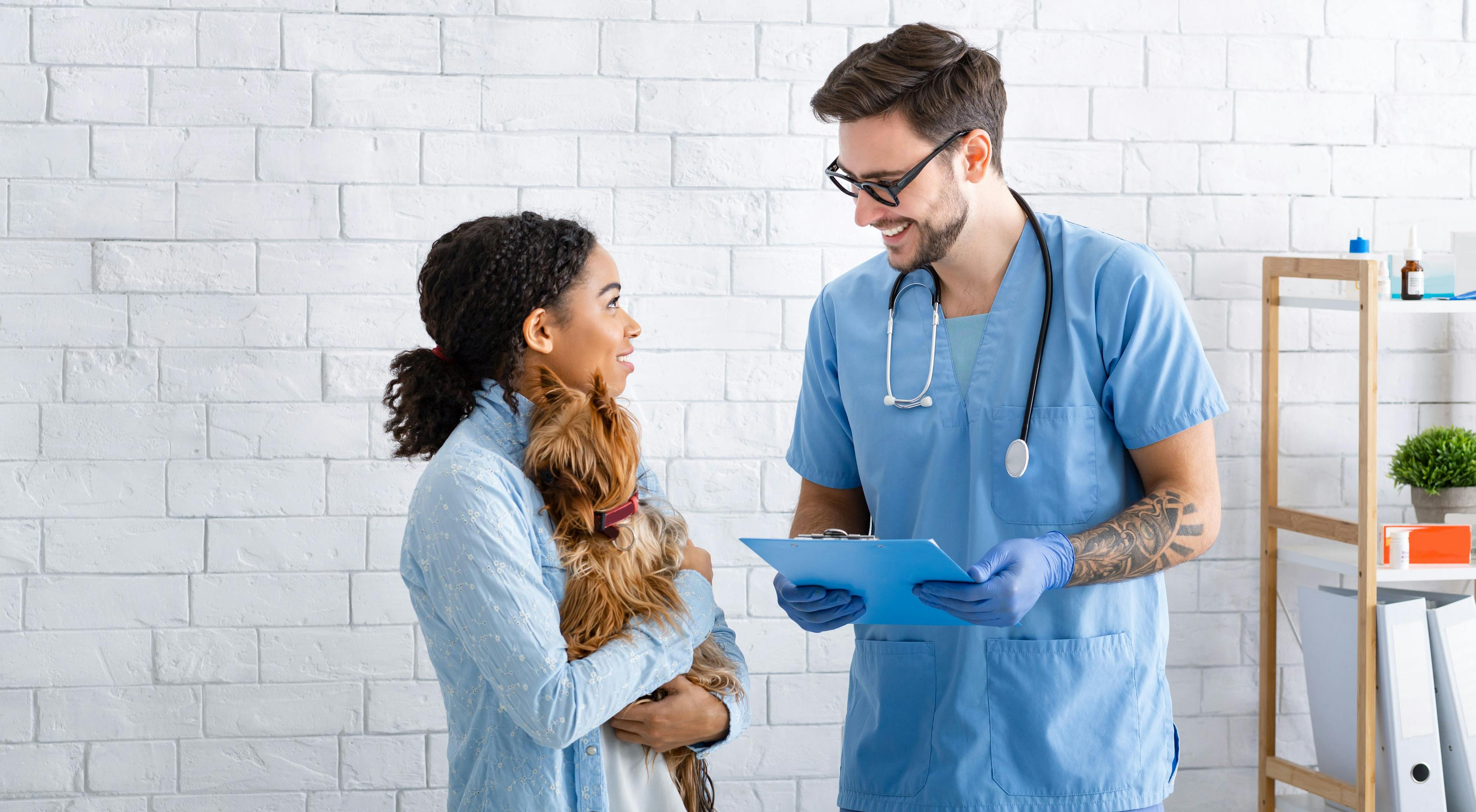 Dental emergencies: Recognizing signs of oral pain in companion animals