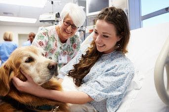 Therapy Dog and Patient