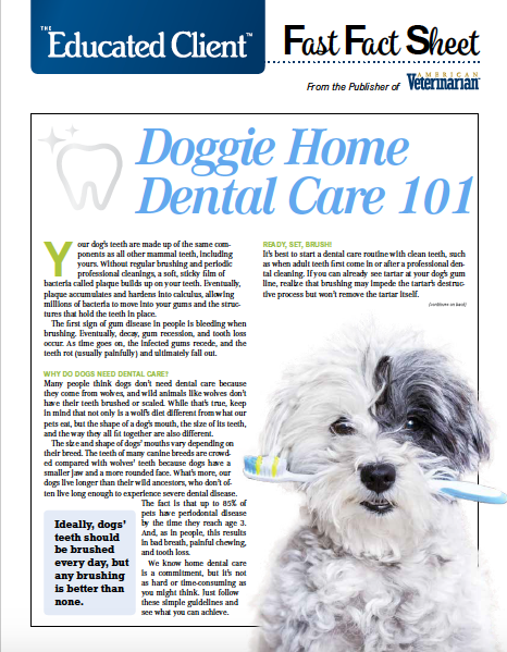 Dog Dental Care Handout