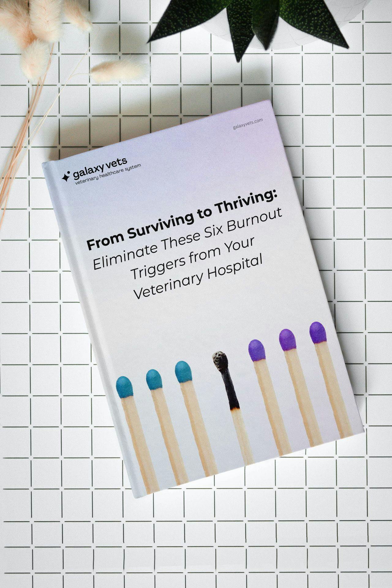 Galaxy Vets unveils research paper on burnout triggers in veterinary medicine