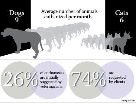 veterinary-euthanasia-data-1.jpg