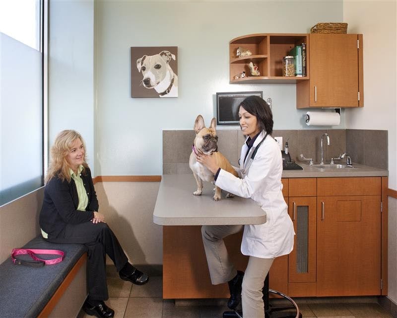 Melrose Animal Clinic exam room. (Courtesy of Tim Murphy/Foto Imagery)