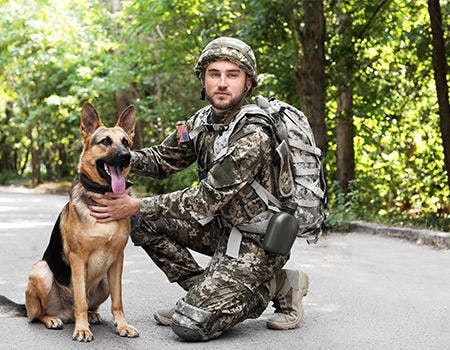 veterinary-veteran- with-military-dog-main.jpg