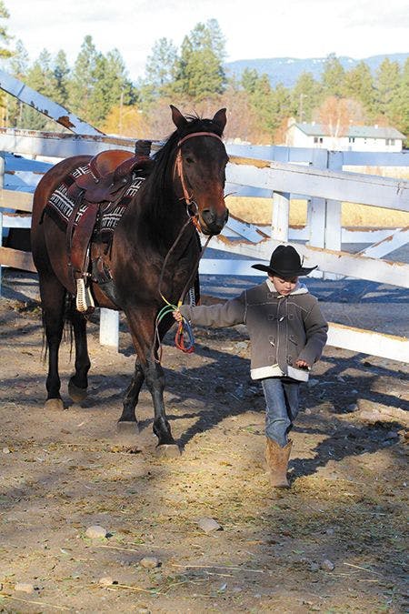 veterinary-young-boy-leading-his-horse-in-the-riding-pen-450px-shutterstock-89368006.jpg