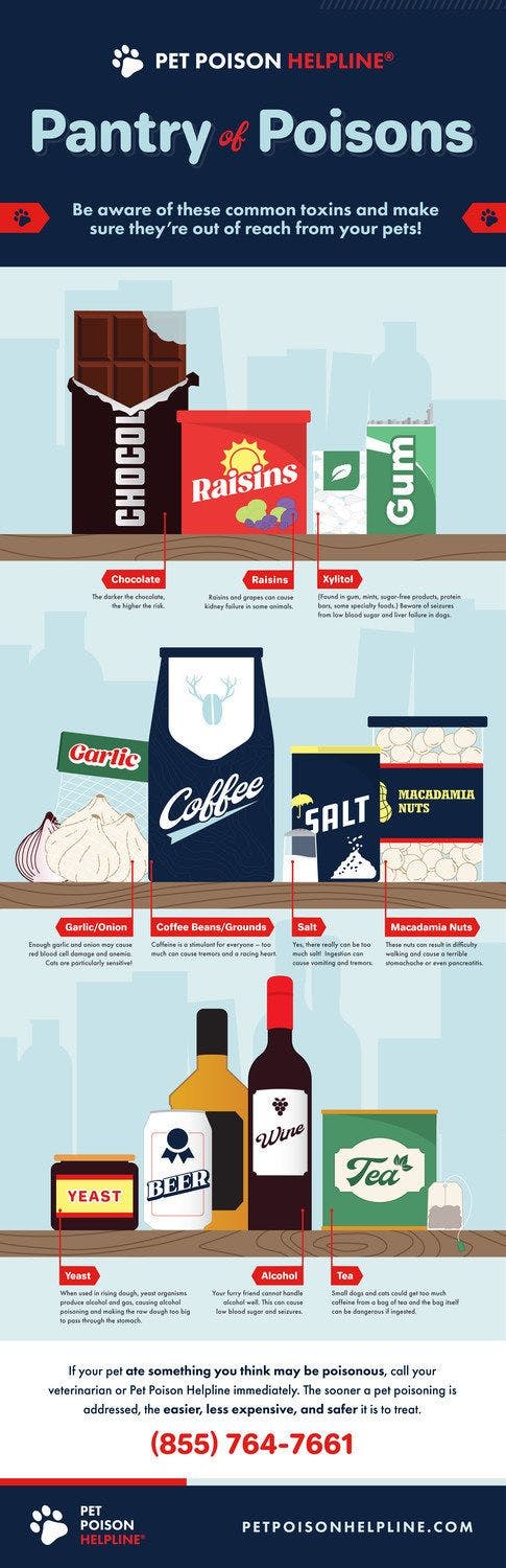Top 10 Pantry of Pet Poisons infographic (Photo courtesy of Pet Poison Helpline). 