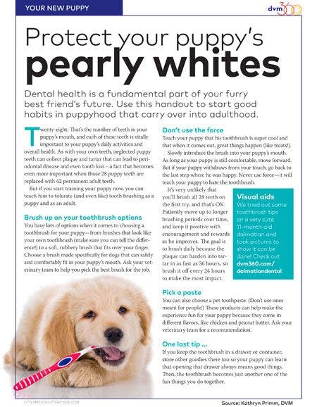 veterinary-handout-fl-puppy-pearly-white.jpg