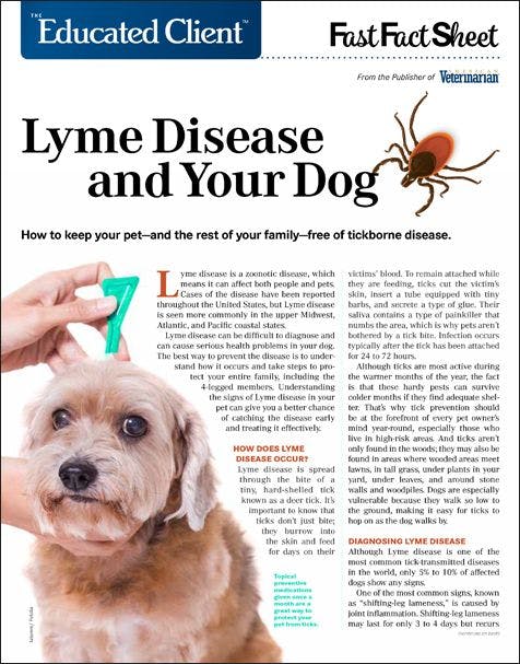 Canine Lyme Disease