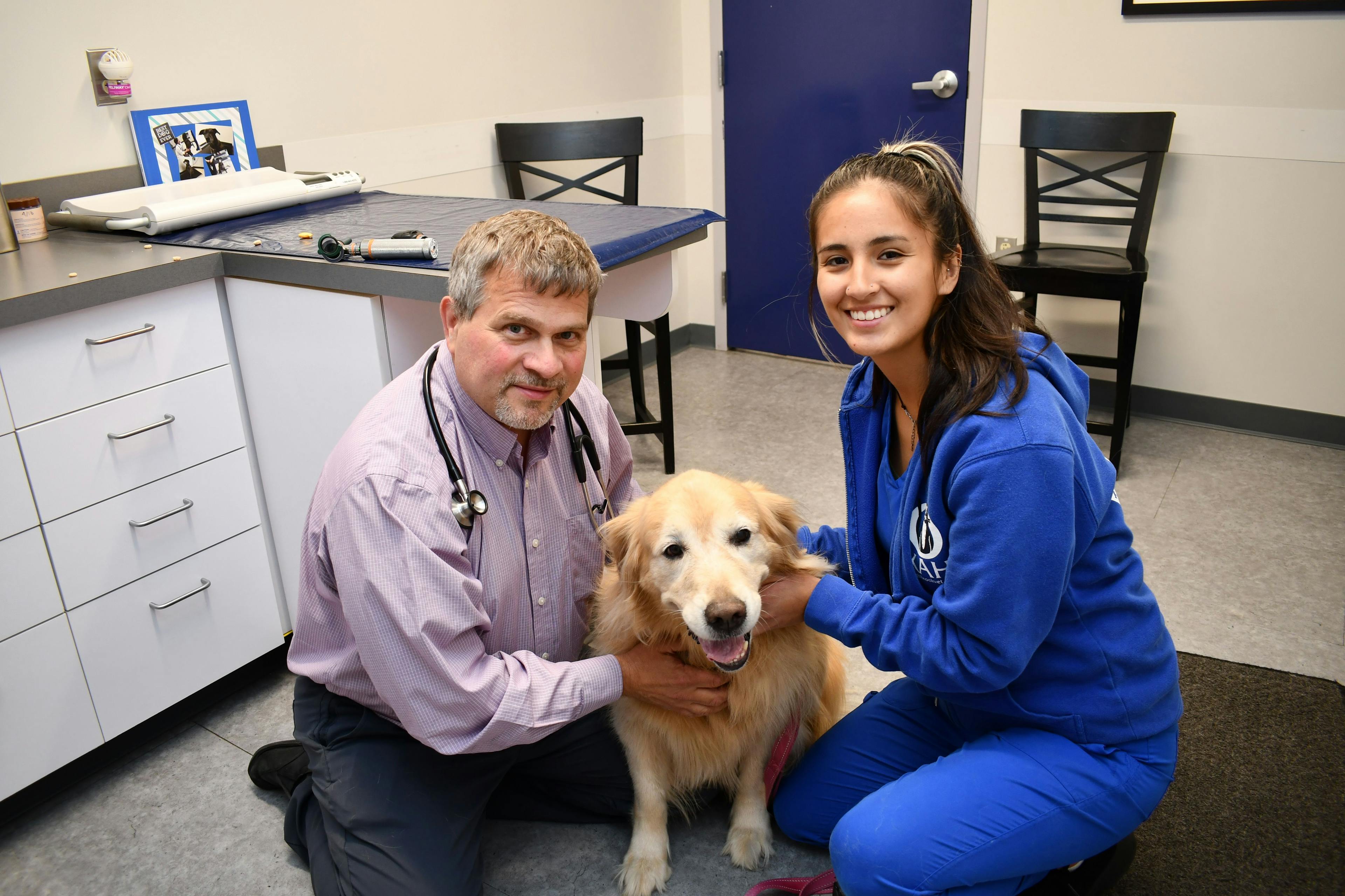 Kingsbrook Animal Hospital have a compassionate care team that ensures the comfort and care of their senior and geriatric patients.