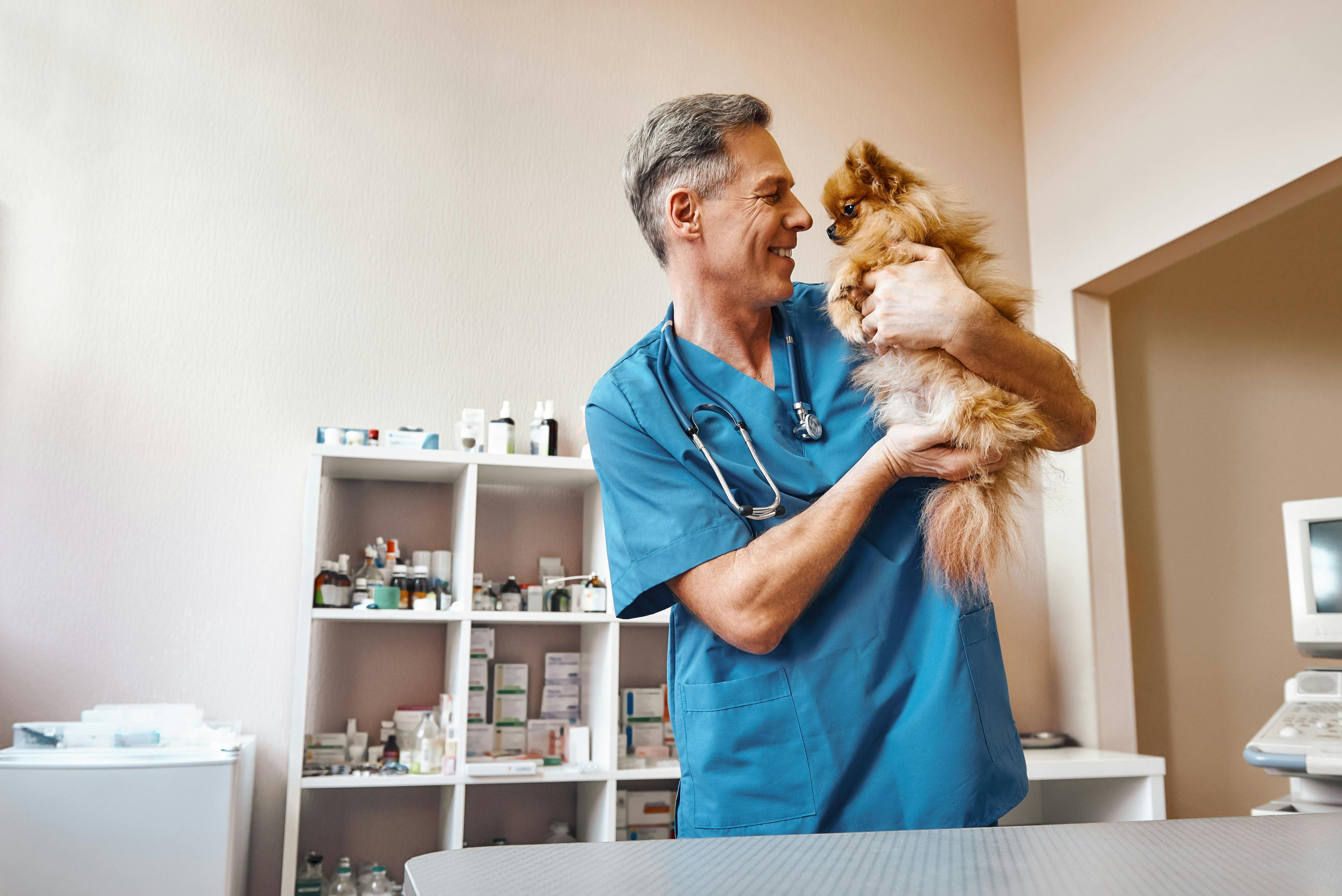 Zoetis releases Project WAG to promote wellbeing of veterinary health professionals