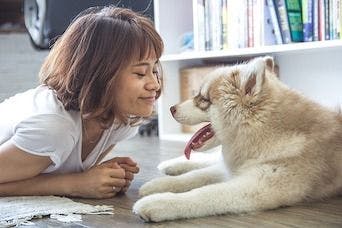 emotions pet owners attribute to pets