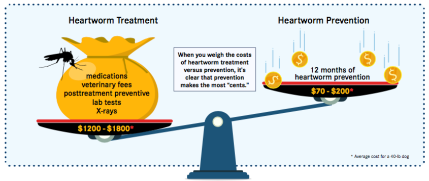 Heartworm Costs