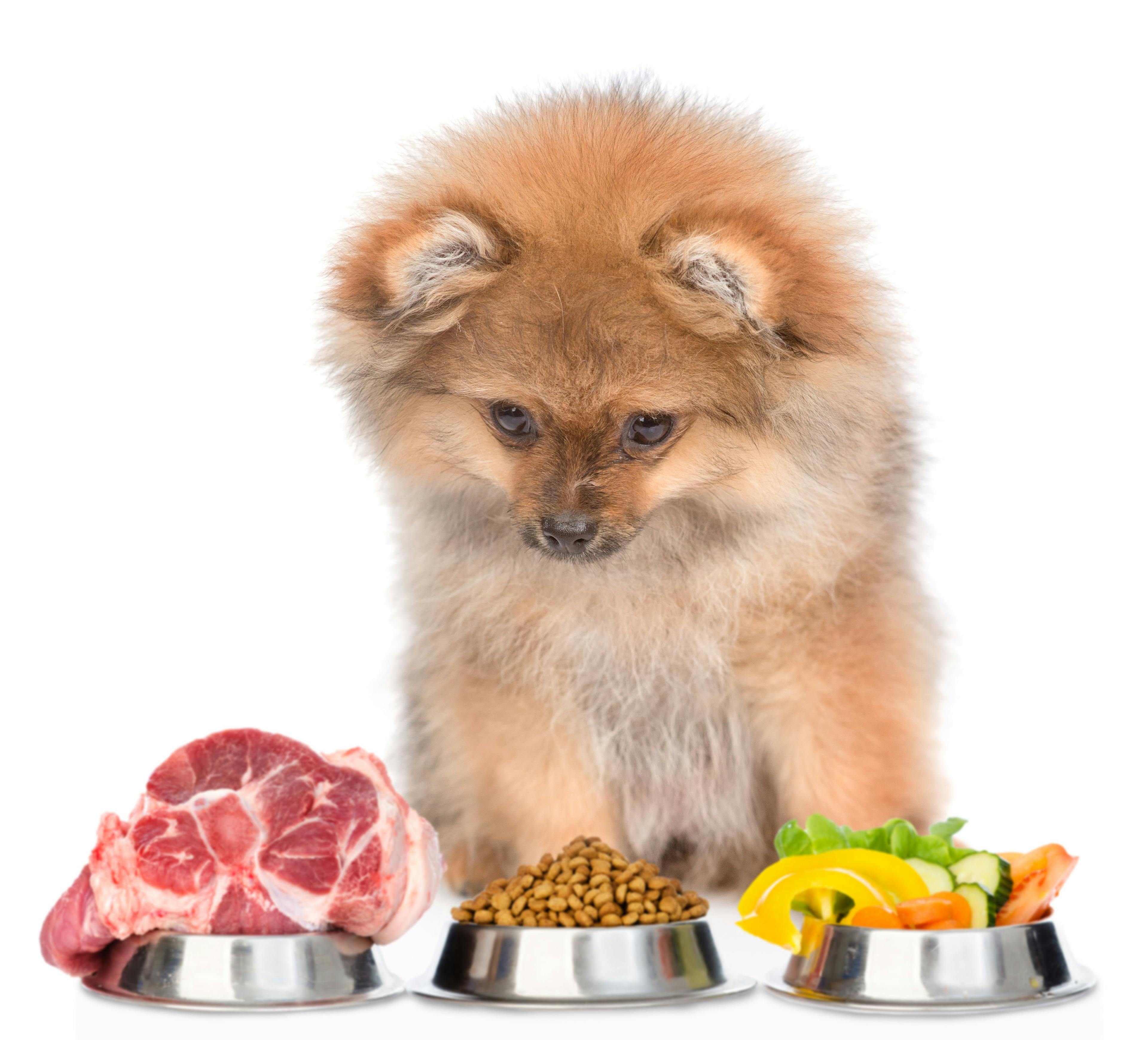 Fact or fiction? Debunking common pet food myths