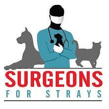veterinary-surgeons-for-strays.jpg