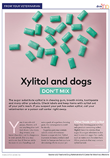 xylitol handout.png