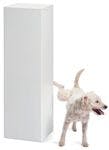 veterinary-dog-pee-pedestal-158682902-831269-1404215571804.jpg