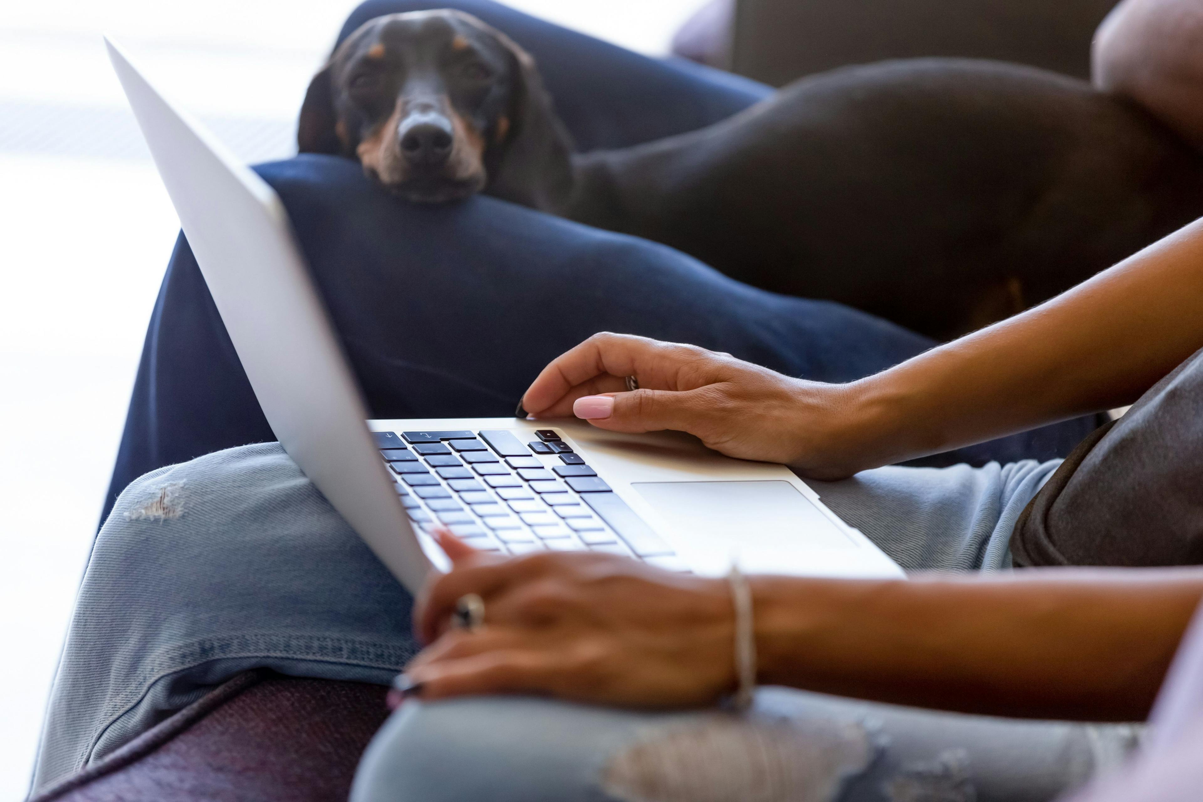 dog owners looking at computer with dog
