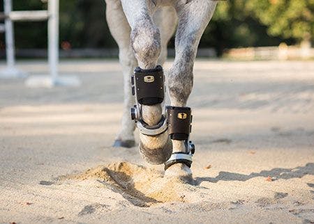 New orthotic gets injured horses moving faster