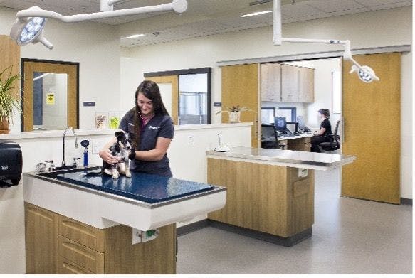 Oncology treatment area with a chemotherapy administration room and a separated animal housing area in the background. (Image courtesy of Tim Murphy | Photo Imagery)