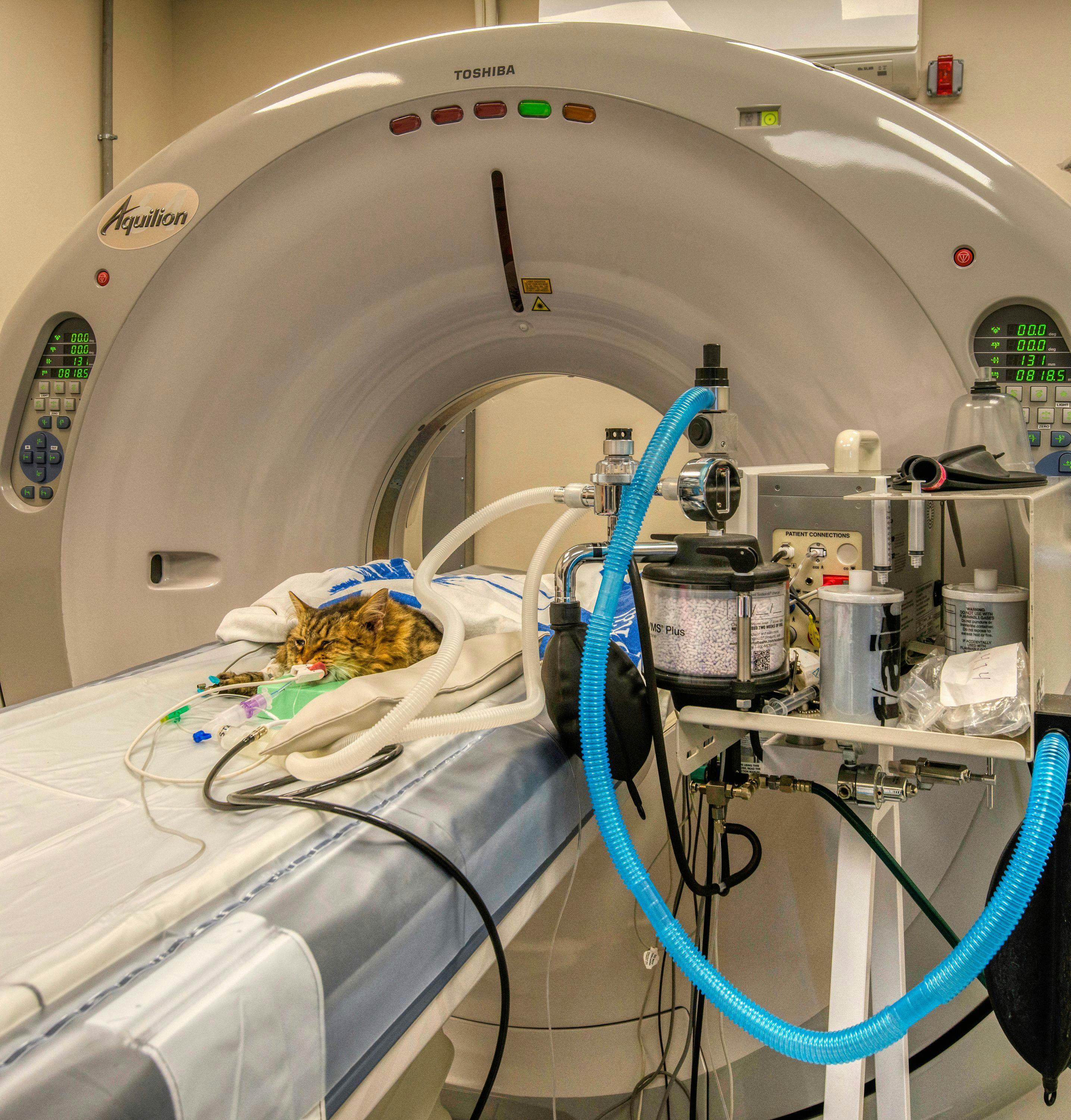 Although the hospital tripled in size, the doctors say it was a challenge to fit everything inside, especially with the large amount of space required for CT equipment and wide doors to install the machinery.