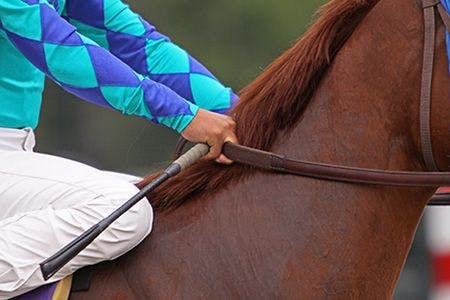 veterinary-jockey-holding-reins-of-thoroughbred-reacehorse-AdobeStock_16711797-body.jpg