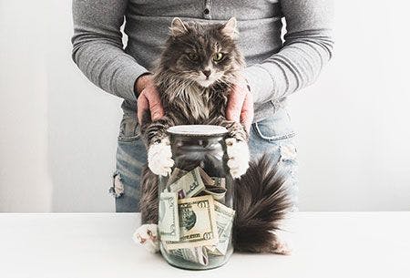 veterinary-man-with-cat-and-jar-money_AdobeStock_189920969-450px.jpg