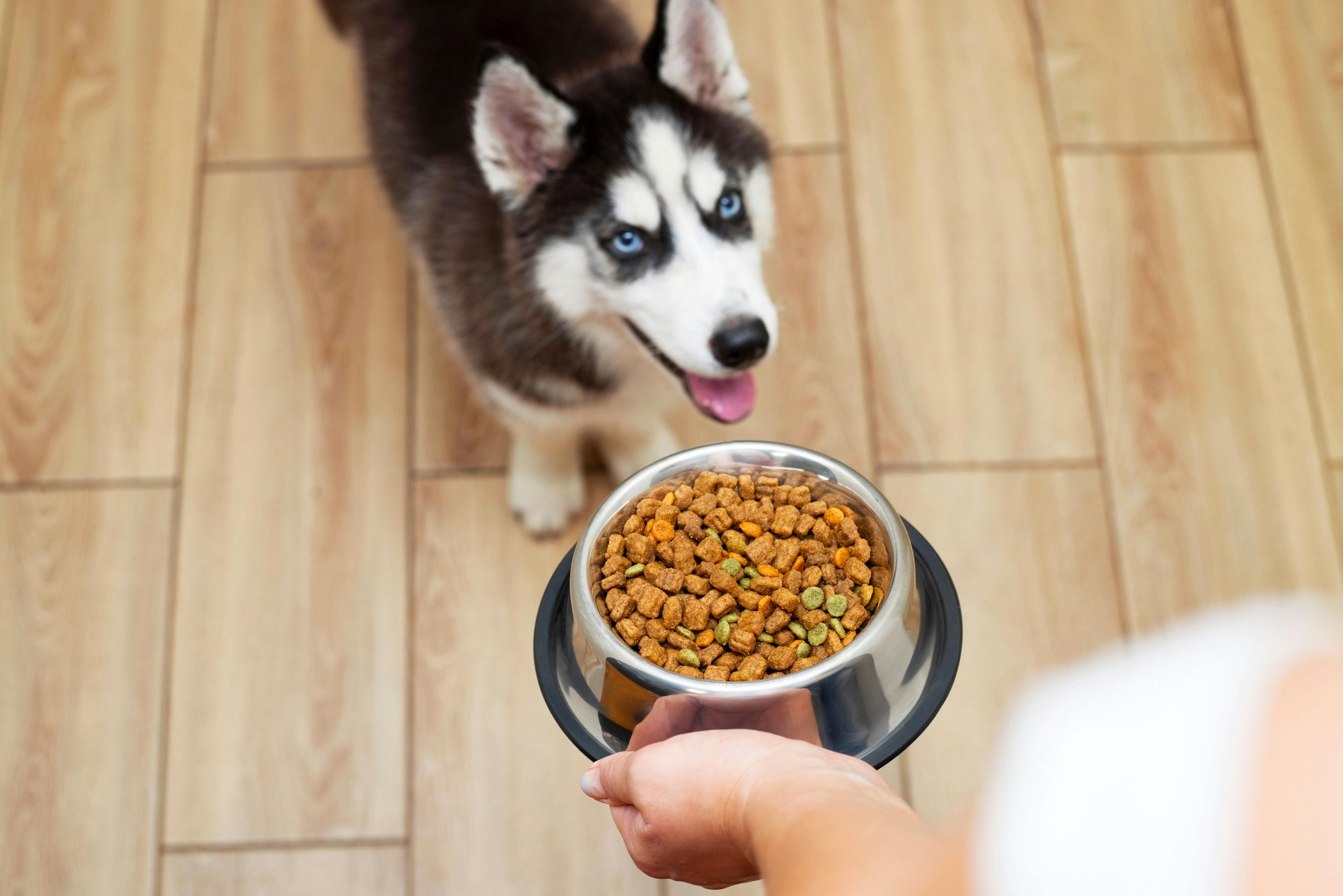 Hill’s Pet Nutrition teams up with Critter Fixers to support fight against pet obesity 