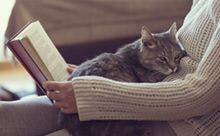veterinary-sitting-cat-reading-AdobeStock_132941266-220px.jpg