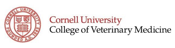 Cornell offers new veterinary business certification program