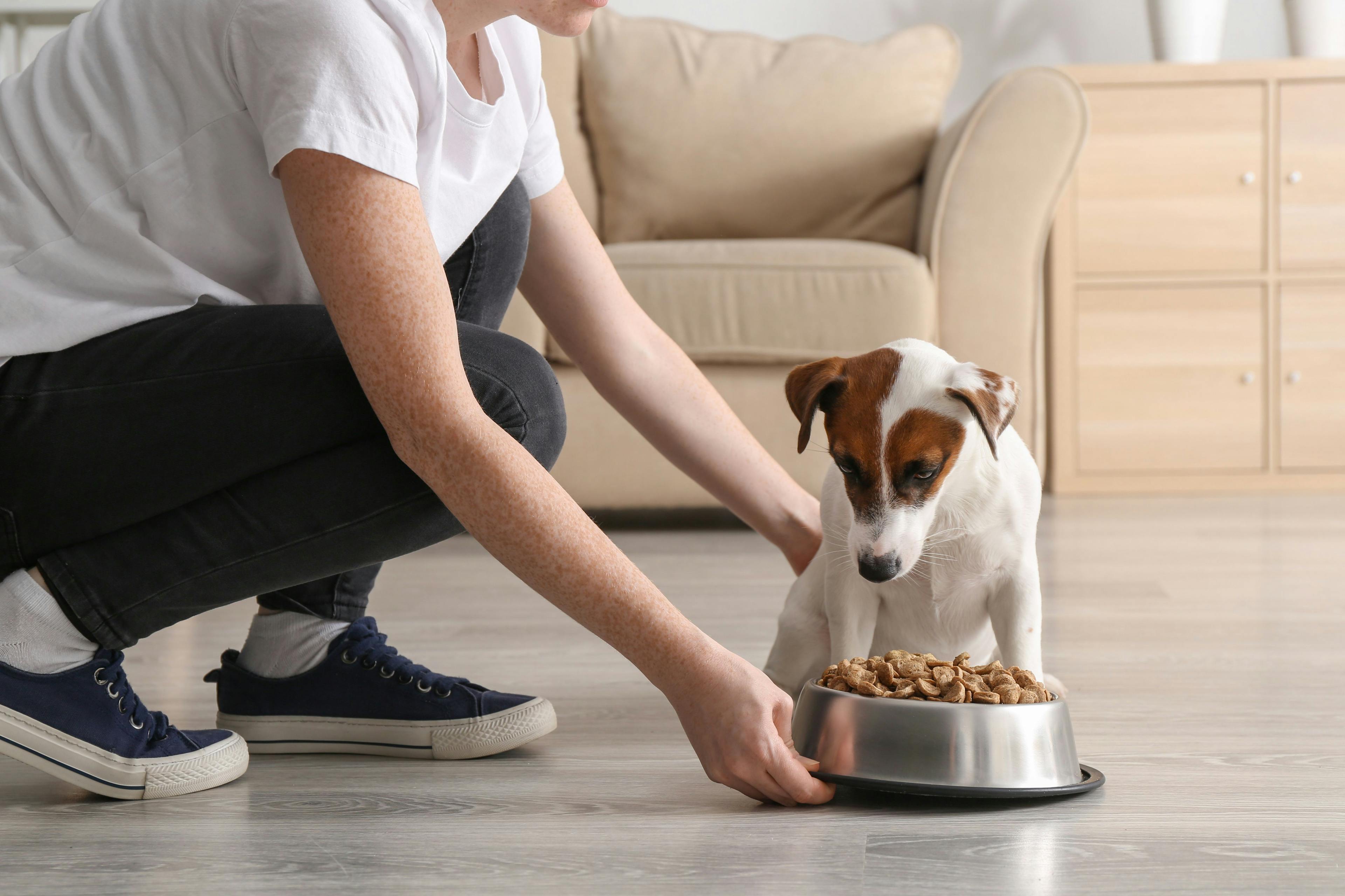 Your veterinary nutrition questions answered