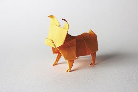 veterinary-orange-paper-origami-pug-isolated-on-white-background-450px-shutterstock-216504379.jpg