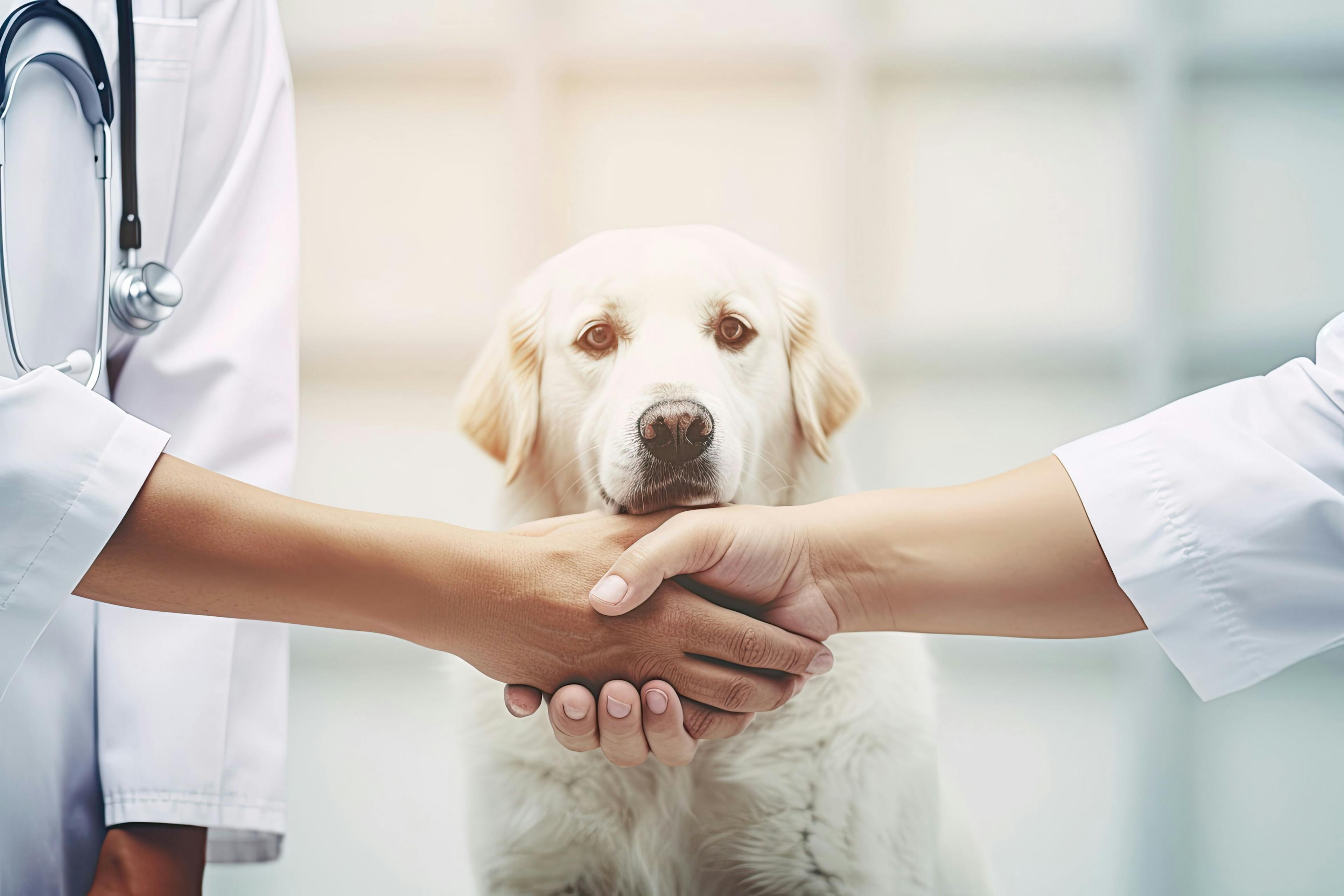 Veterinary technology and services company expands strategic partnership with veterinary network