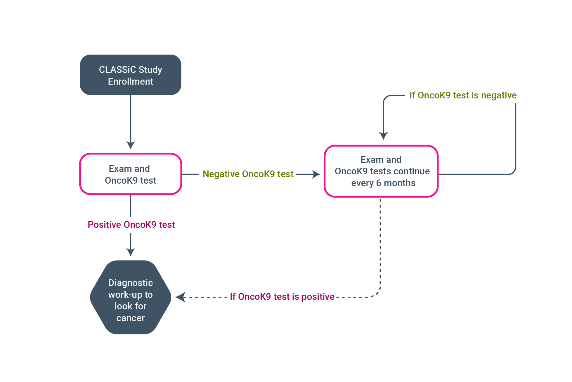 Figure 2. A Flow Chart Outlining the CLASSiC STUDY

Patients are enrolled into the trial by their primary care doctor. Once enrolled, an exam and OncoK9 test is performed every 6 months. If the test is negative, the patient will return in 6 months for the next assessment. If the test is positive, the patient is referred to a BluePearl Oncology clinic for a diagnostic workup to attempt to identify the cancer. This is a funded collaborative effort between BluePearl, PetDx, and primary care doctors in the Greater Philadelphia area.