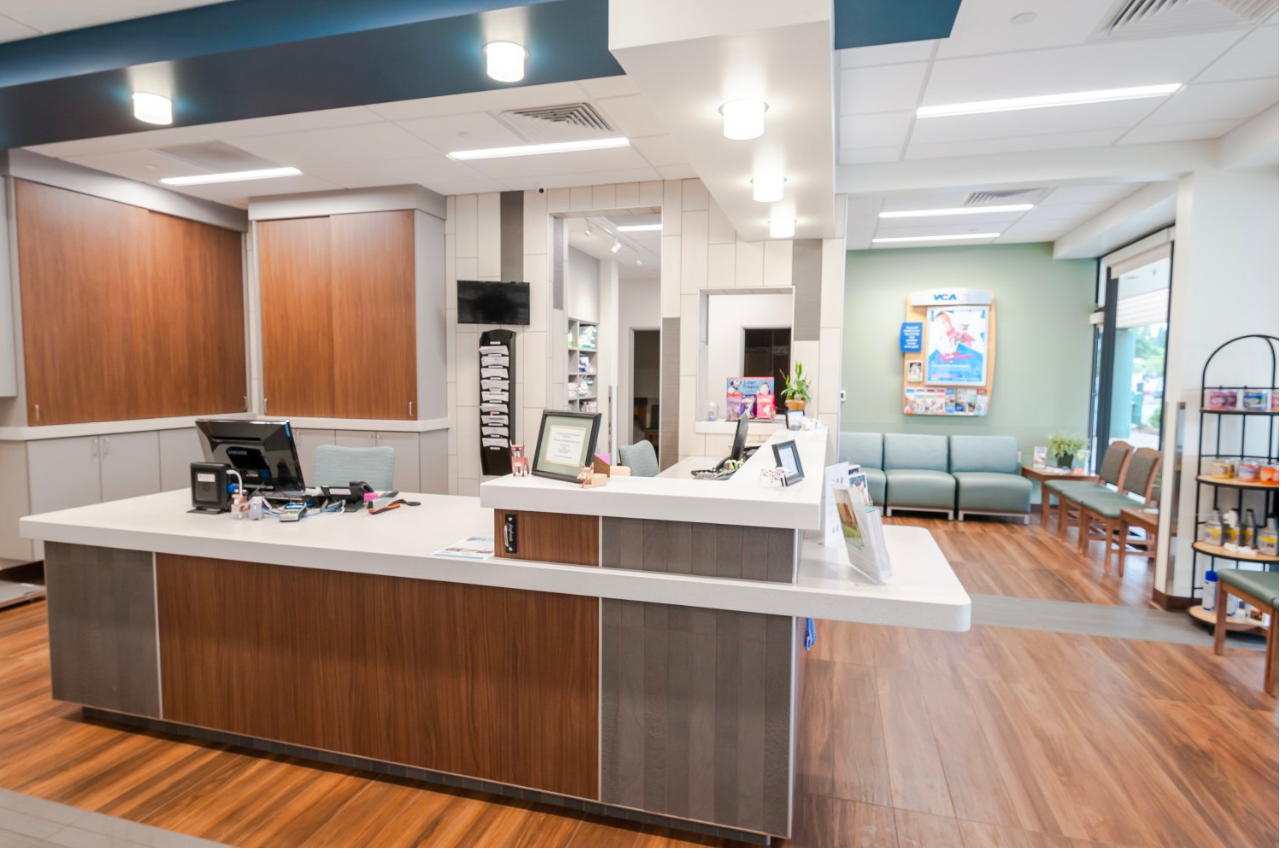 Reception desk with plastic laminate front and porcelain tile flooring at VCA Beech Grove Animal Hospital, Indiana. (Courtesy of Emerick Construction)