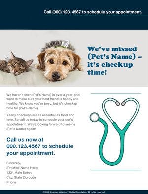 veterinary-inactive-client-email-300x.jpg