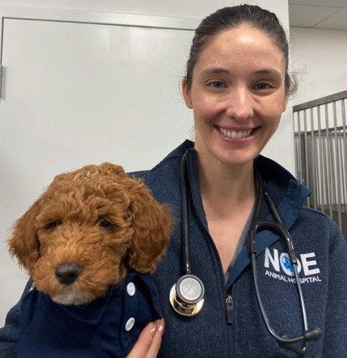 Dr Goodrich, co-founder of Noe Animal Hospital, with an adorable patient (Photo courtesy of Noe Animal Hospital).