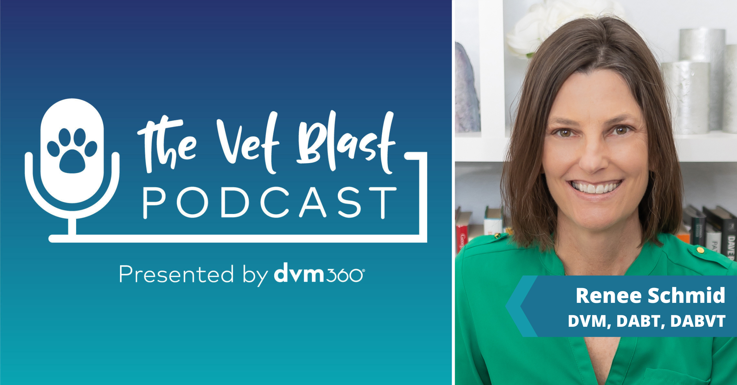 The Vet Blast Podcast