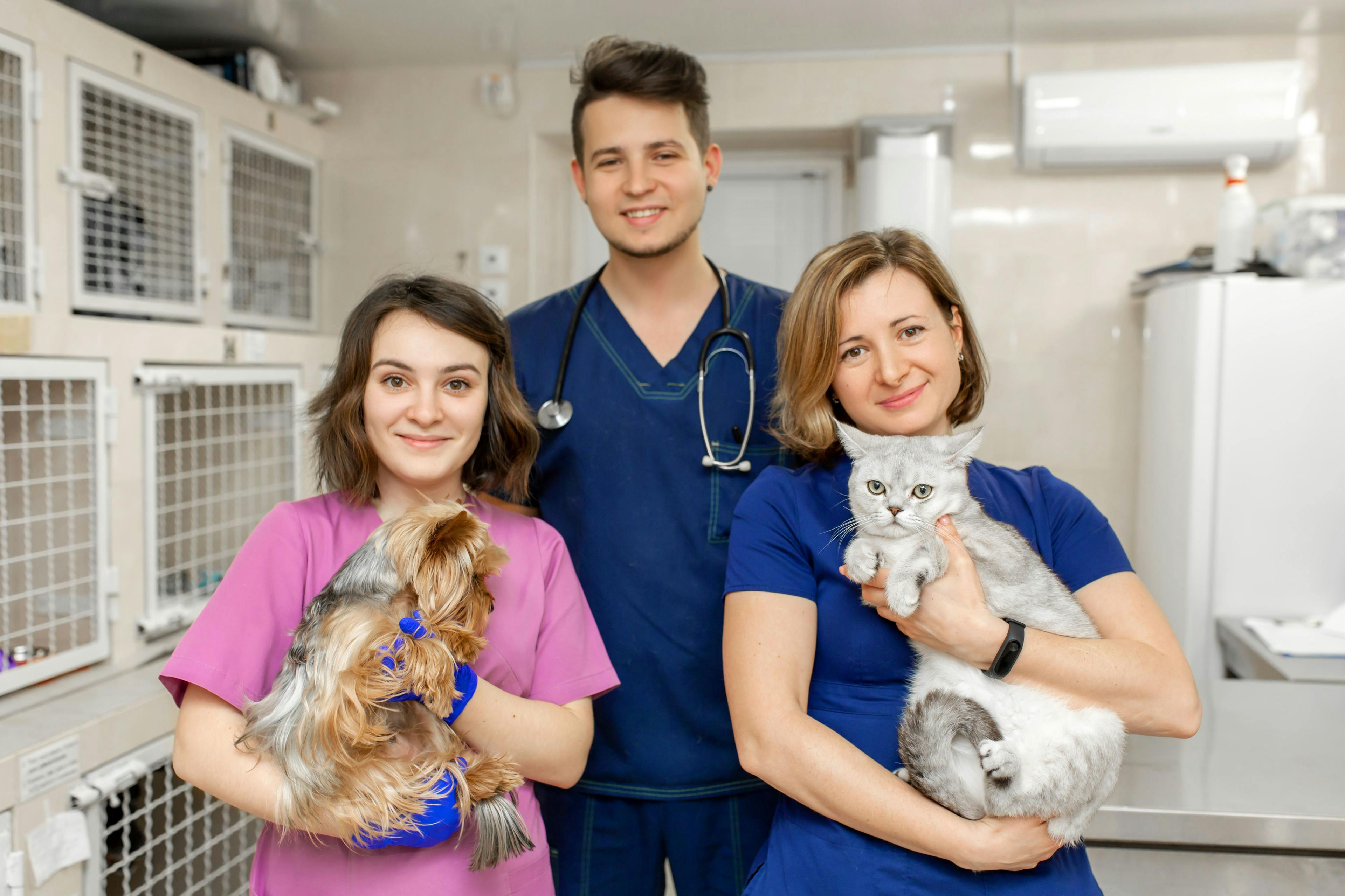 Creating a healthy veterinary practice culture