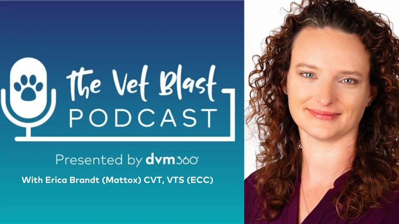Top Vet Blast Podcast episodes of 2023: #8