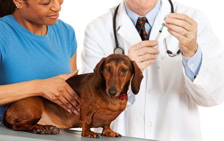 Practice tip: Up your Bordetella compliance