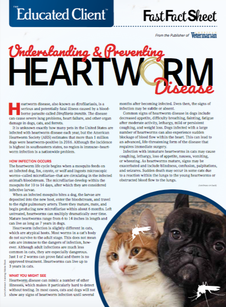 Heartworm in Dogs and Cats