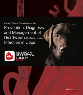 canine heartworm guidelines