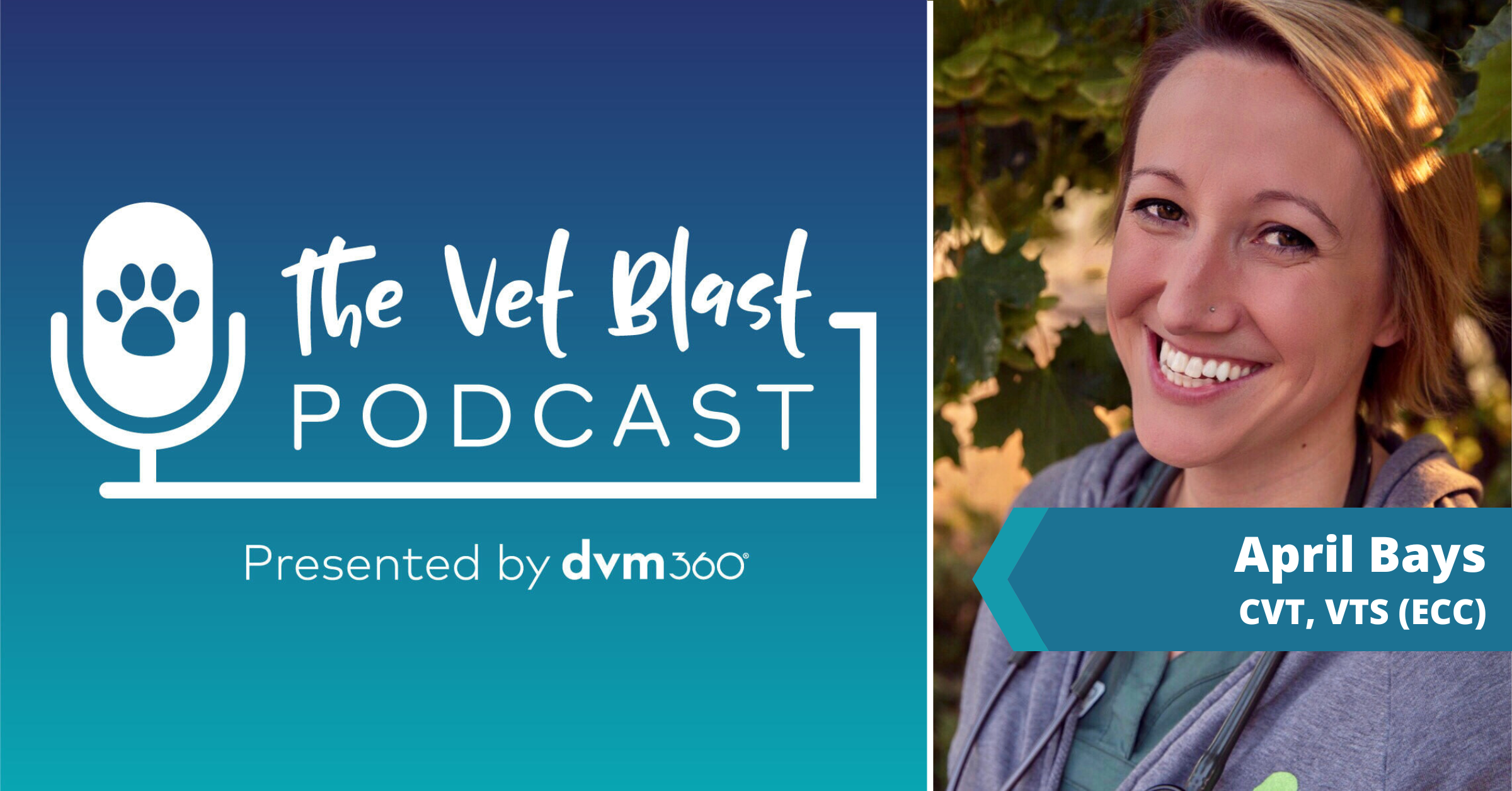 The Vet Blast Podcast with April Bays