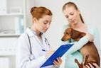 NJ Veterinary Hospital Warns of Leptospirosis Hot Spots