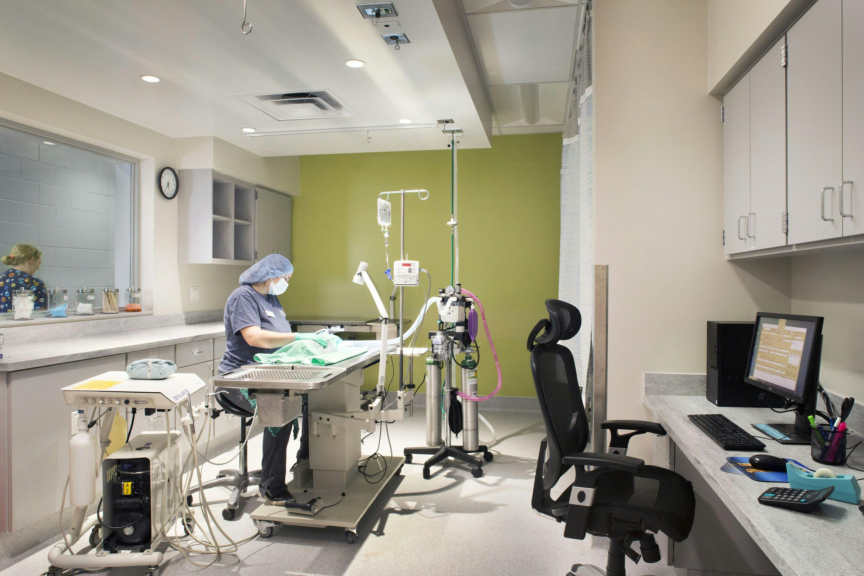 Figure 2. Dental Suite Designed for Ergonomics. The dental suite in the newly renovated veterinary clinic at the Humane Society of the Pikes Peak Region features adjustable-height equipment.