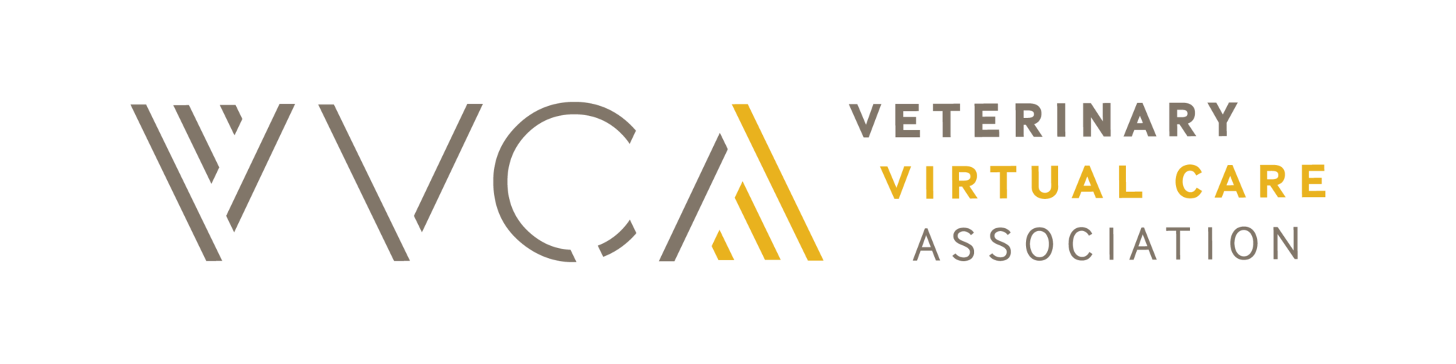 VVCA announces new board co-chairs