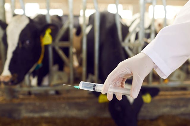FDA’s new 5-year plan for antimicrobial stewardship in animals is released